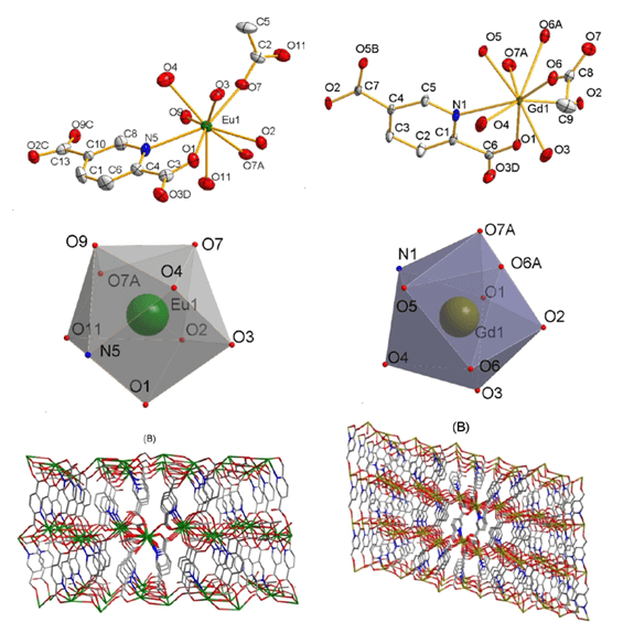 Synthesis of Rare Earth Metal Organic Framework Materials Based on 2,5-Pyridinedicarboxylic Acid Ligands